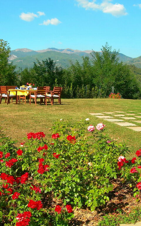 Villa Saida: all'aperto, Giardino