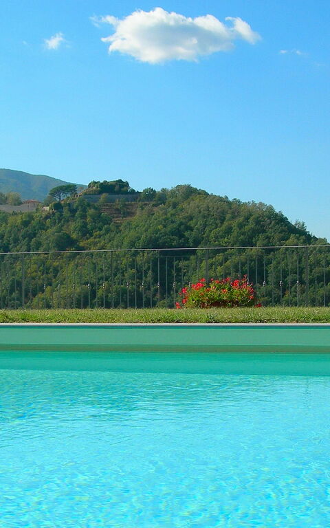 Villa Saida: all'aperto, Piscina