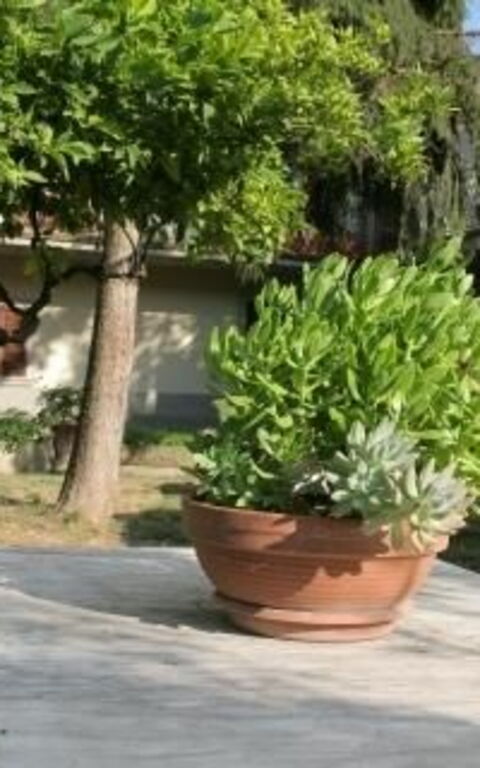 ***villa Contea: all'aperto, Giardino