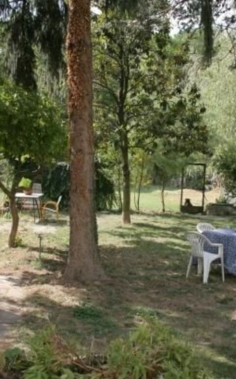 ***villa Contea: all'aperto, Giardino