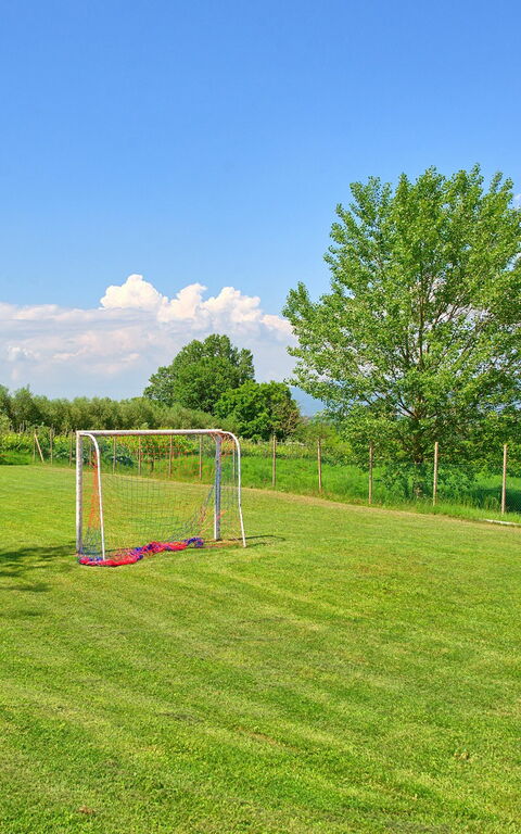 Villa Giare: Attività