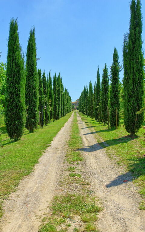 Villa Giare: Vista Panoramica