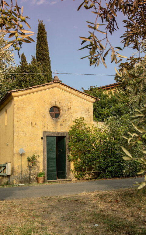 Villa Pedone: all'aperto, Giardino
