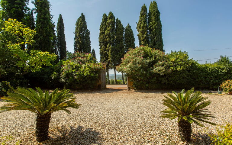 Villa Pedone: all'aperto, Giardino