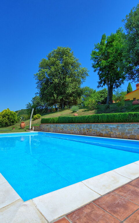 Villa Crispinino: Piscina