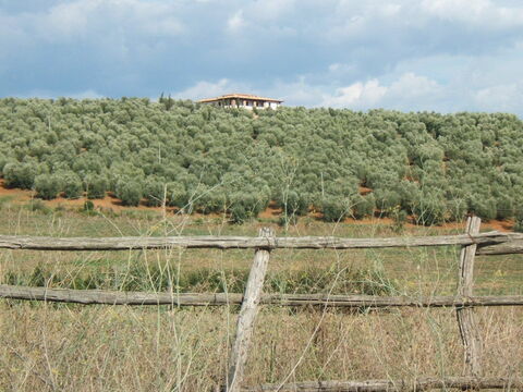 Villa Giulia Follonica