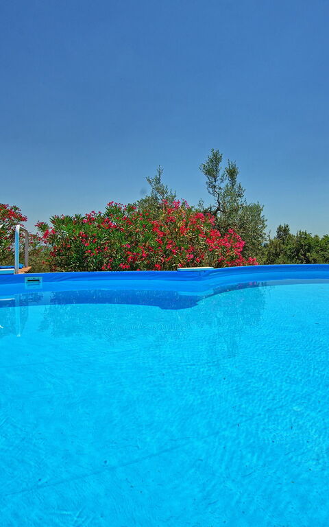 Villa Corolle: Piscina