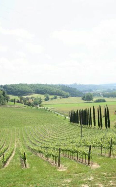 Villa Buonaparte: Vista Panoramica
