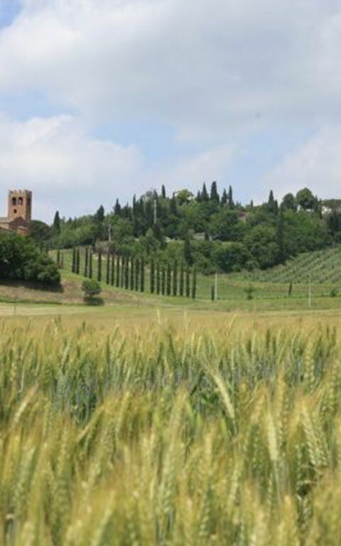 Villa Buonaparte: Vista Panoramica