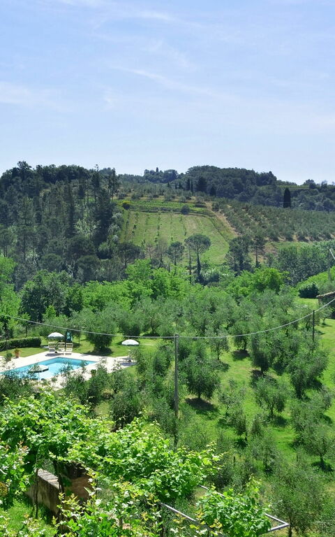 Villa Buonaparte: Giardino