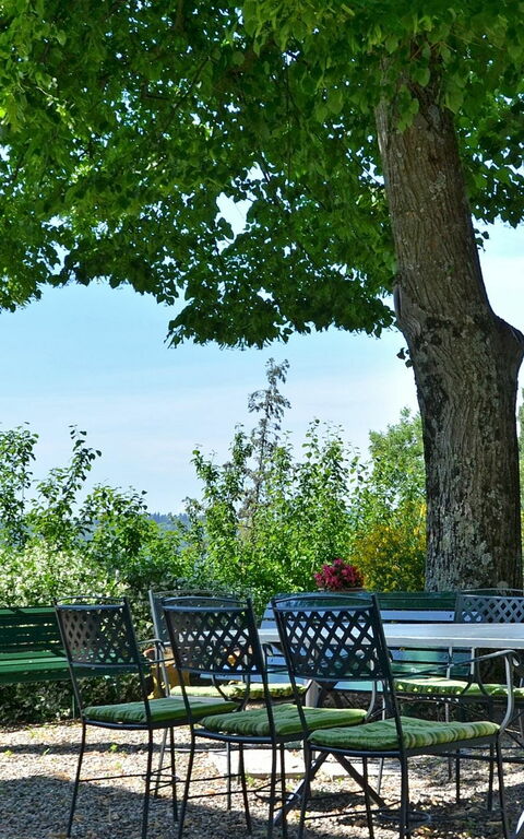 Villa Buonaparte: Giardino