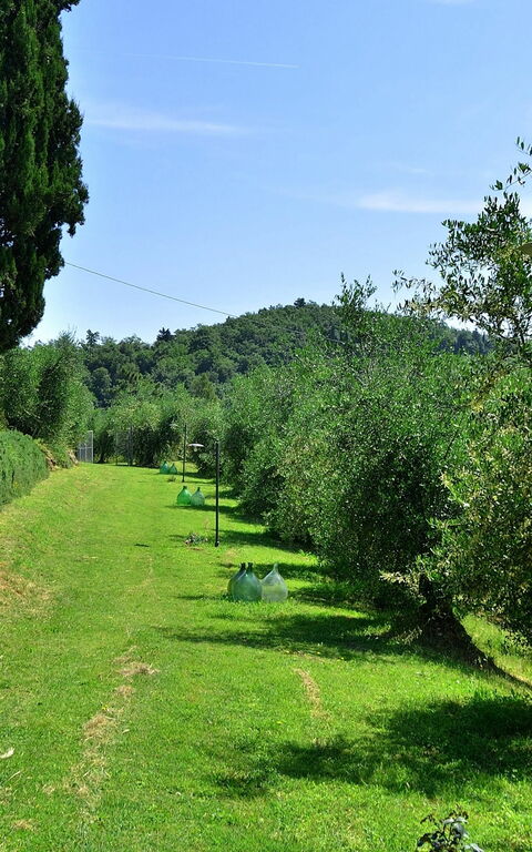 Villa Buonaparte: Giardino