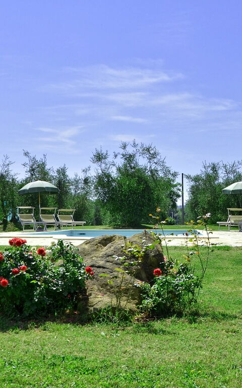 Villa Buonaparte: Giardino