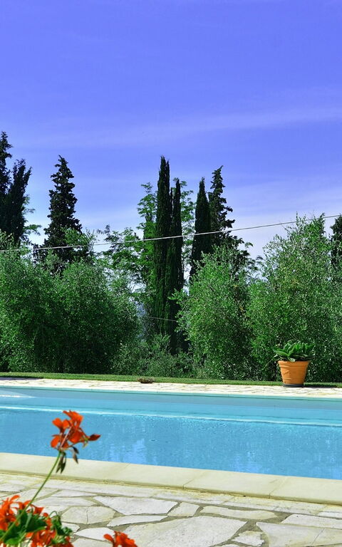 Villa Buonaparte: Giardino, Piscina