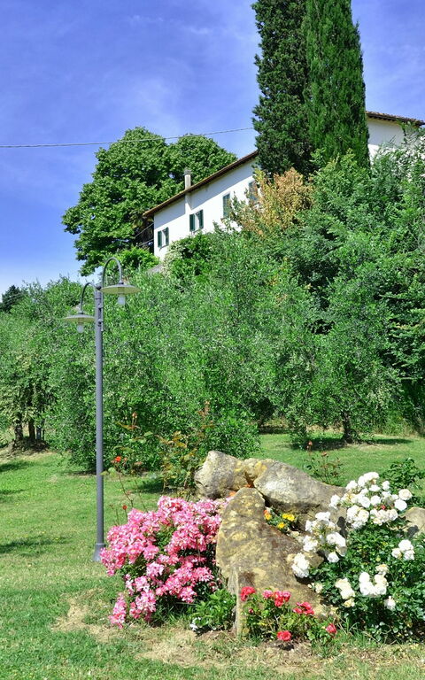 Villa Buonaparte: Giardino