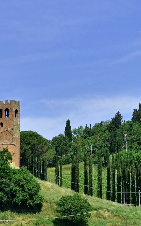 Villa Buonaparte: Giardino