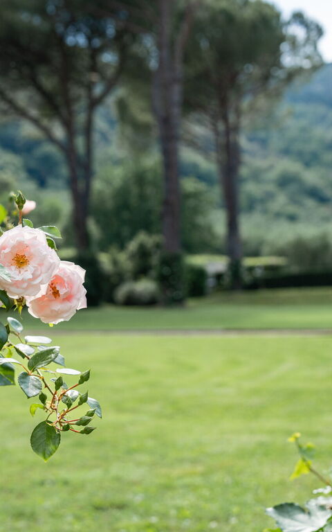 Villa De Ranieri: all'aperto, Giardino