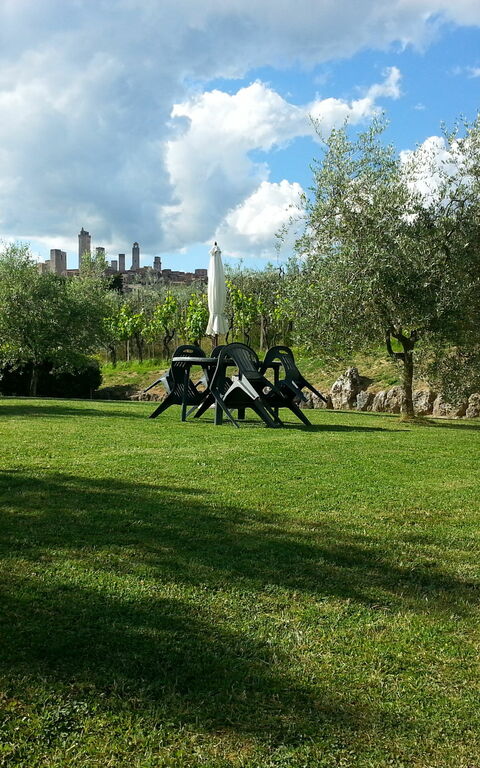 Podere Degli Olivi: Giardino