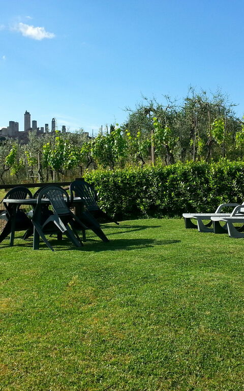 Podere Degli Olivi: all'aperto, Giardino