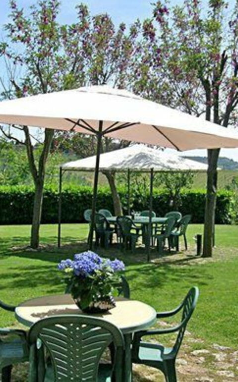 Podere Degli Olivi: Giardino