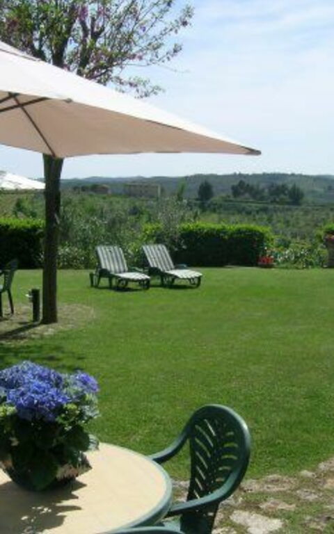 Podere Degli Olivi: Giardino