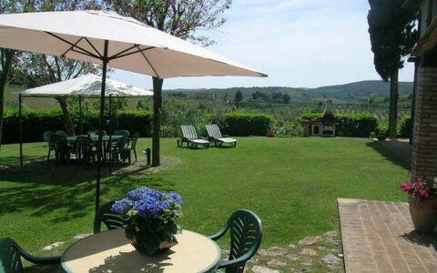 Alloggio Olivo: all'aperto