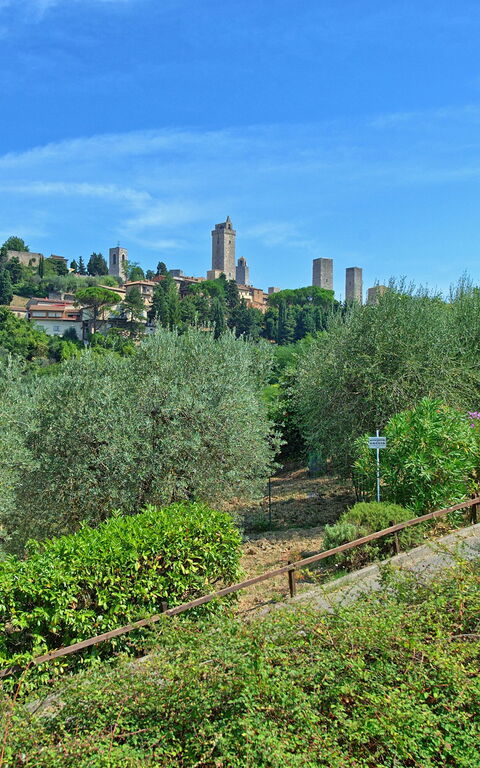 Poggiluglio: all'aperto