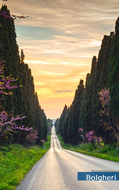 Guardistallo: Esterni, Vista Panoramica