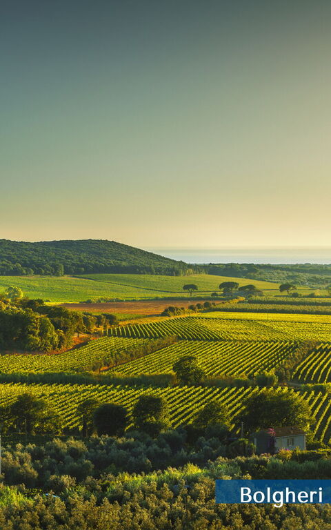 Guardistallo: Esterni, Vista Panoramica