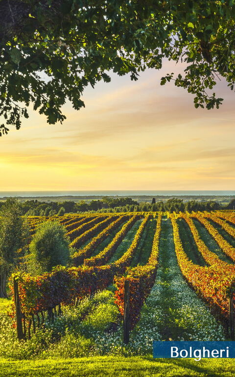 Guardistallo: Esterni, Vista Panoramica