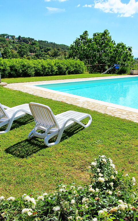 Guardistallo: Giardino, Piscina