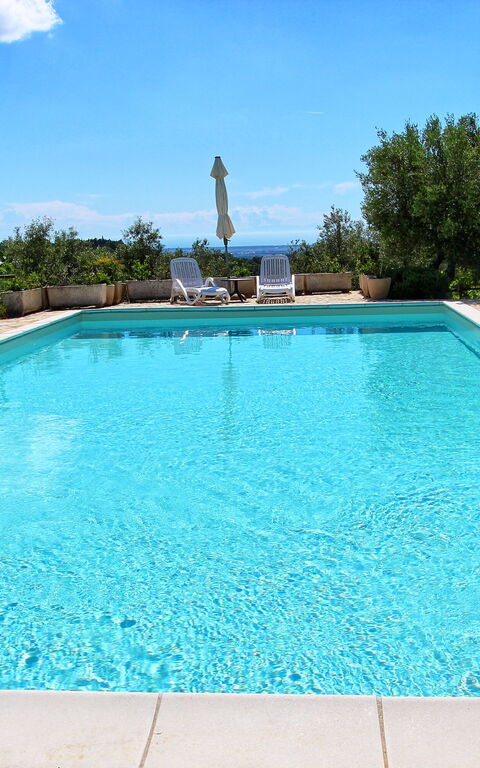 Guardistallo: Piscina