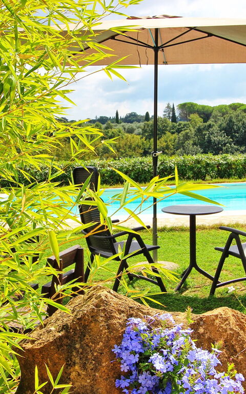 Guardistallo: Giardino, Piscina