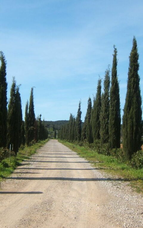 Villa Dei Cipressi: all'aperto, Entrata Principale, Esterni