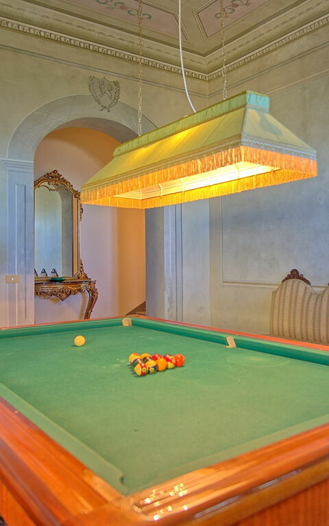 Villa Camaiore: Attività