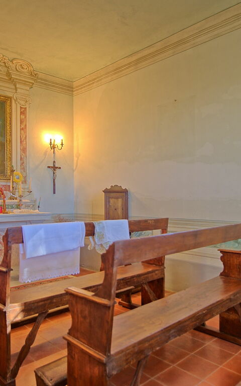 Villa Camaiore: Attività