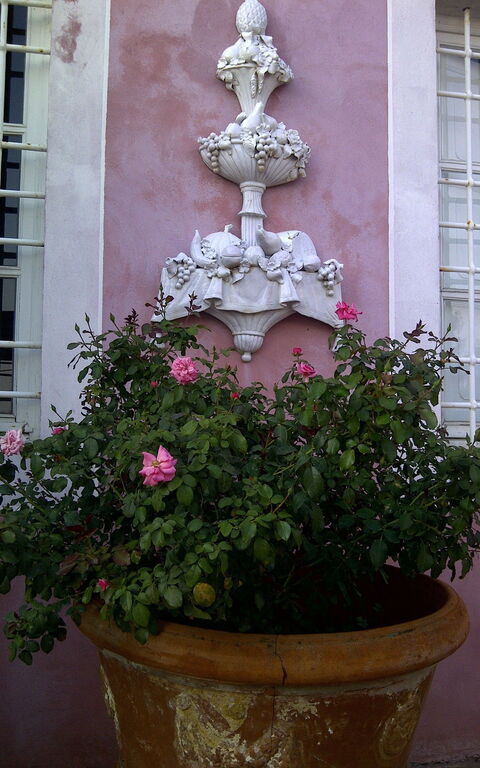 Le Donne Di Bargecchia