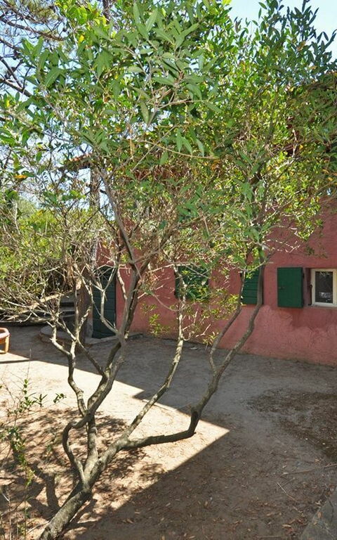 Casamare: all'aperto, Giardino