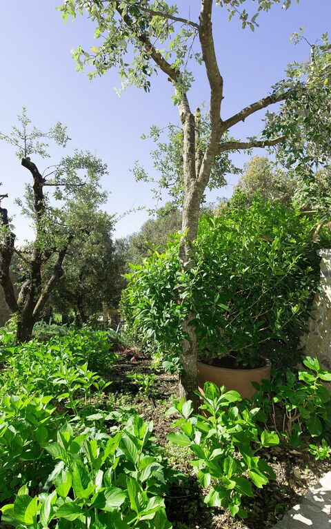 Villa Nova: all'aperto, Esterni