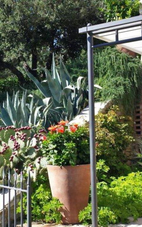 Villa Nova: all'aperto, Esterni