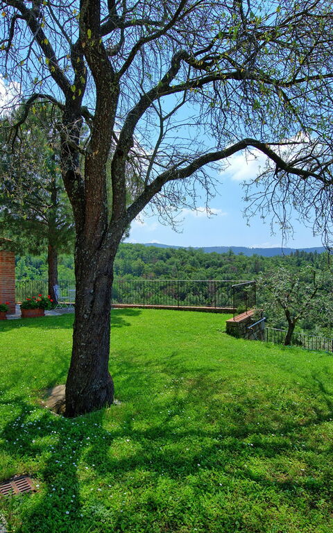 Villa Noceta: all'aperto, Giardino