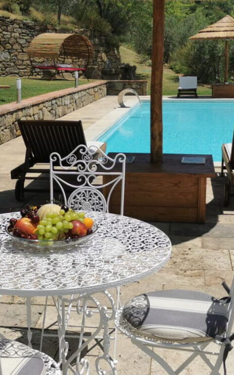 Villa Noceta: Piscina