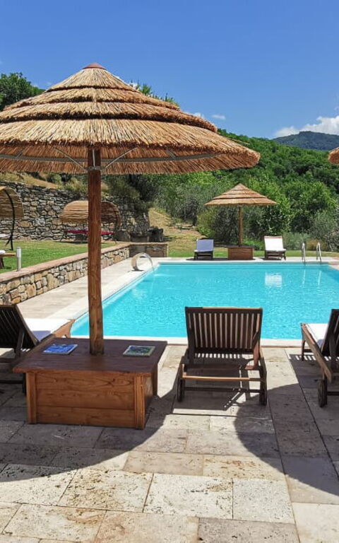 Villa Noceta: Piscina