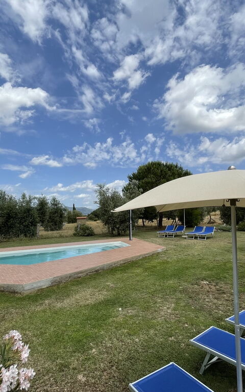 Funghi 1: all'aperto, Esterni, Giardino, Piscina