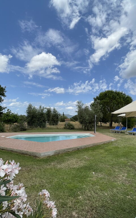 Funghi 1: all'aperto, Esterni, Giardino, Piscina