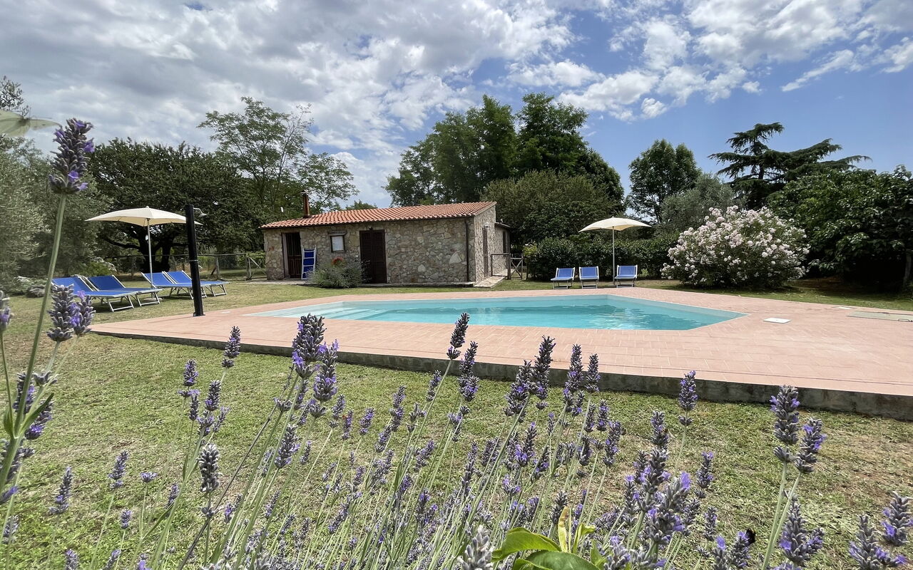 Funghi 1: all'aperto, Esterni, Giardino, Piscina