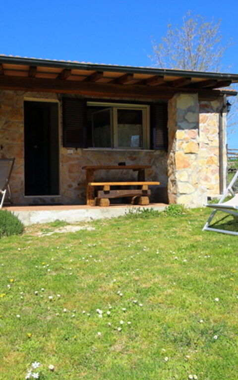 Funghi 2: all'aperto