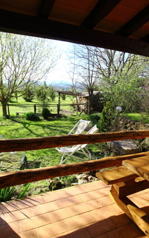 Funghi 2: all'aperto