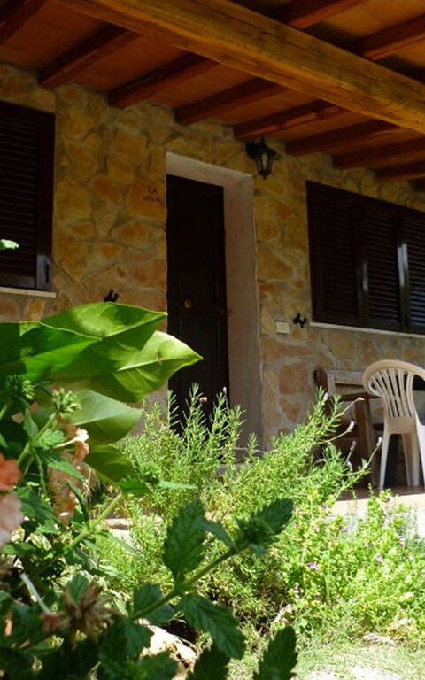 Funghi 2: all'aperto