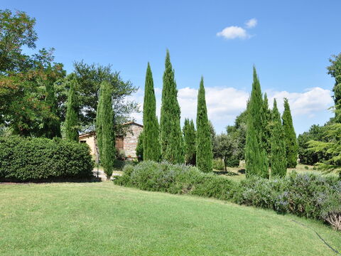 Le Querce Di Campocane